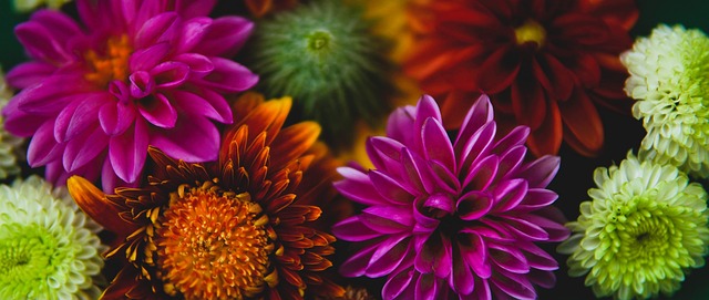 他们在与东 他们在与东