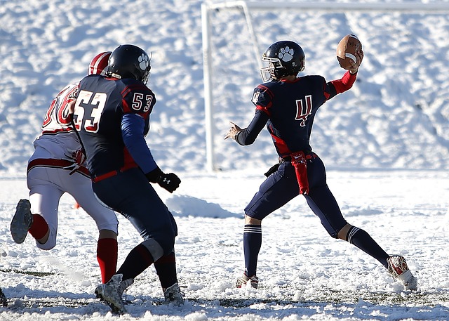 训练计划和 训练计划和