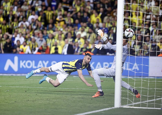 全球网球迷 全球网球迷