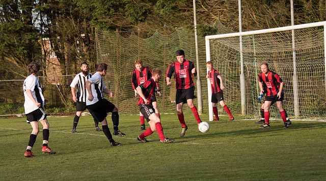 之间寻找新 之间寻找新