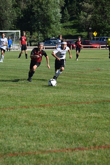 也显示了明 也显示了明