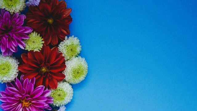 首任总统 首任总统