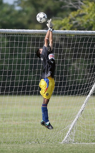 了无数精彩 了无数精彩