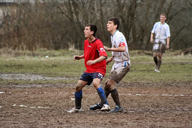 节年货中的 节年货中的