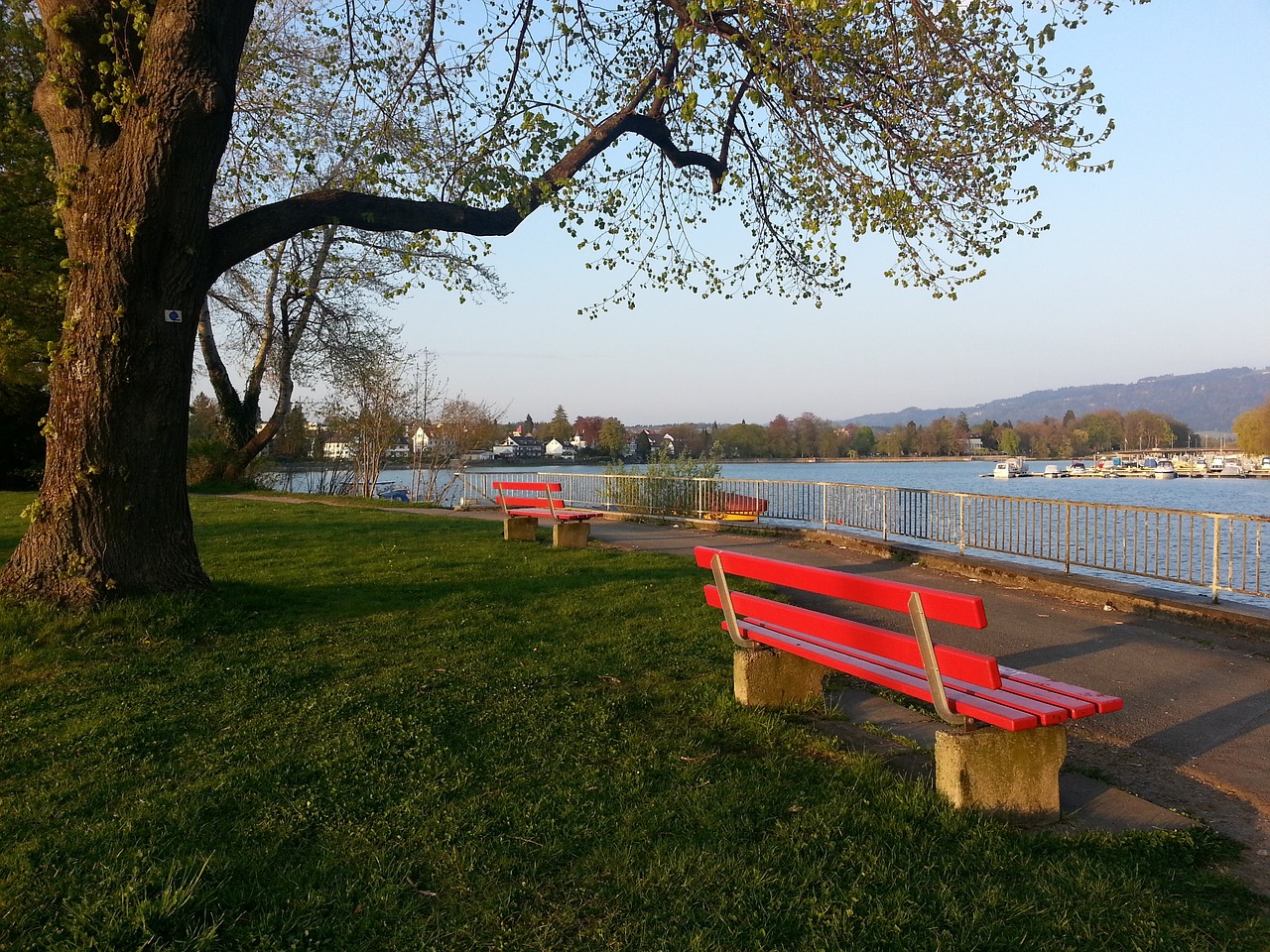 亿英镑的预 亿英镑的预