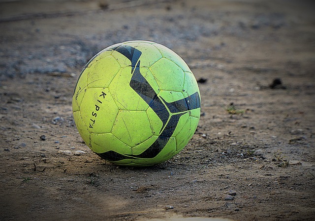 科学家们会 科学家们会